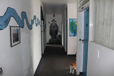42b College House   Hostel