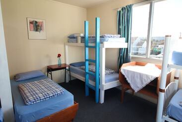 42b College House   Hostel