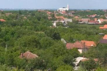 Vis Pension