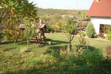 Vis Pension