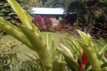 3 Rivers & Rosalie Forest Eco Lodge - Rosalie