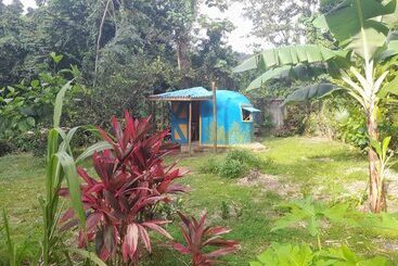 هتل 3 Rivers & Rosalie Forest Eco Lodge
