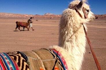 هتل Atacama Loft & Glamp
