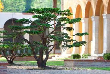 هتل La Bastide En Gascogne