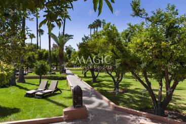 هتل Tui Blue Medina Gardens   Adults Only   All Inclusive