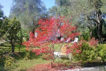 Marilena Apartments & Studios
