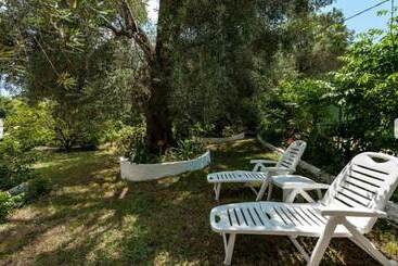 Marilena Apartments & Studios