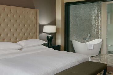 هتل Hilton Dushanbe