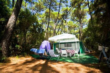 هتل Puntala Camp & Resort