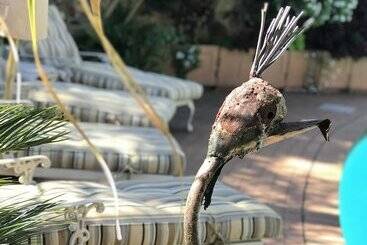 پانسیون Claires Of Sandton Luxury Guest House