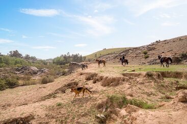 The Fattoria Ecolodge - Лаиа Такеркуст