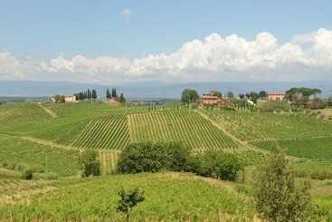 هتل Agriturismo Musignano