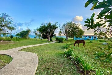 هتل Blue Horizon Boutique Resort
