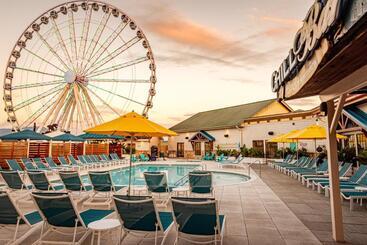 هتل Margaritaville Island
