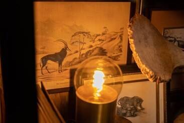 هتل Thornybush Game Lodge