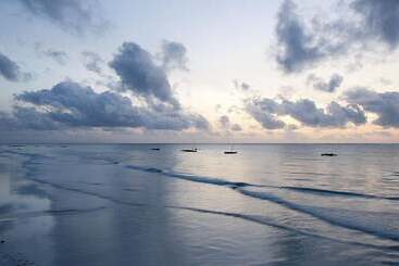 هتل Neptune Palm Beach Boutique Resort & Spa   All Inclusive
