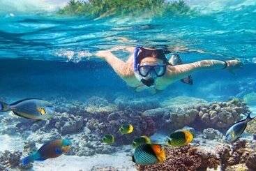 استراحتگاه East Winds St. Lucia All Inclusive