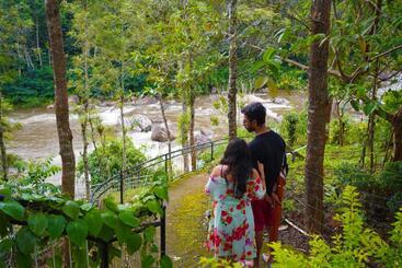 Rivulet Resort