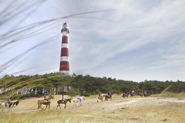 هاستل Sier Aan Zee