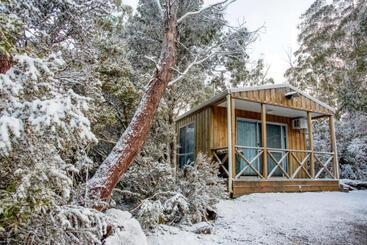 호텔 Discovery Parks  Cradle Mountain