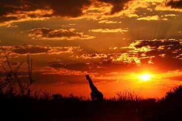 هتل Lapa Lange Game Lodge