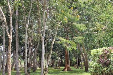 هتل Forest Park Resort