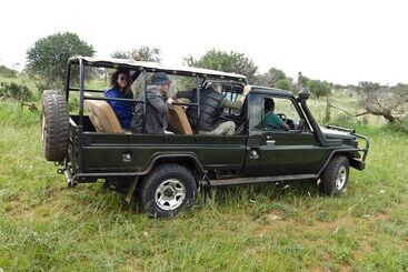 هتل Laikipia Eco Cottages