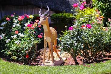 هتل Padandaro Guest House
