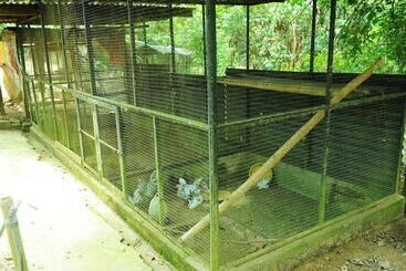 هتل Countryview Recreation Park & Resort