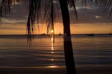 هتل Dela Derose Guest House Negril Jamaica