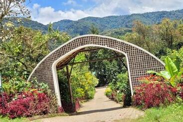 هتل Gorilla Safari Lodge