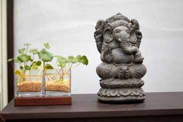 هتل Bali Slow