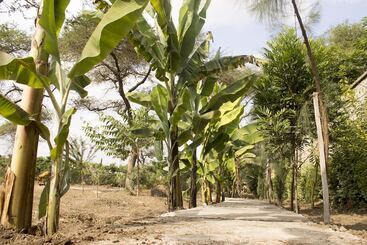 هتل Airport Planet Lodge At Kilimanjaro Airport
