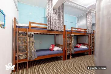 هتل Island Backpackers