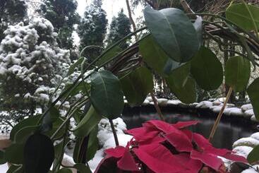 هتل Panorama Bh