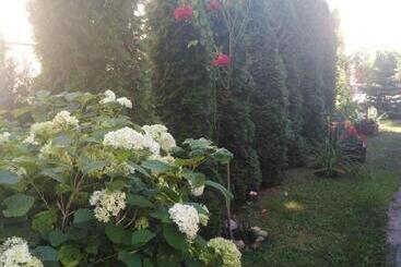 ペンション Hostel U Misiów