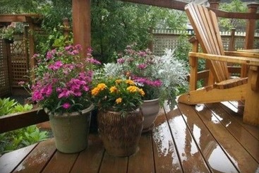 Alaska's Capital Inn Bed And Breakfast