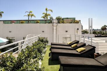 هاستل Posh South Beach