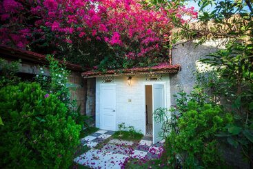 استراحتگاه Green Organic Villas