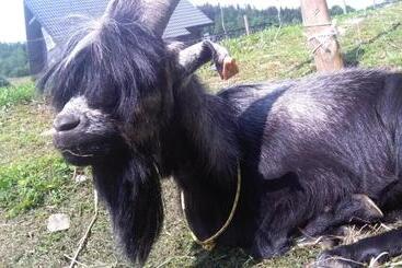 هتل Agroturystyka,, Ranczo Kruszynki
