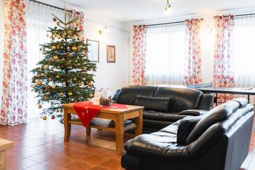 تختخواب و صبحانه Dom Wypocz Pod Litwinką Apartamenty