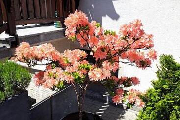 تختخواب و صبحانه Willa Celina