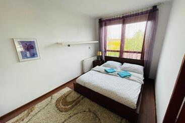 پانسیون Noclegi Airportpark