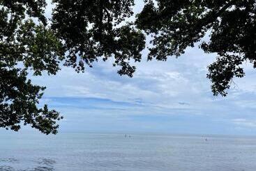 تختخواب و صبحانه Borbon S Treehouse By The Sea