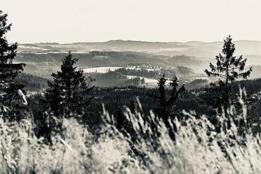 ペンション Haus Herzog