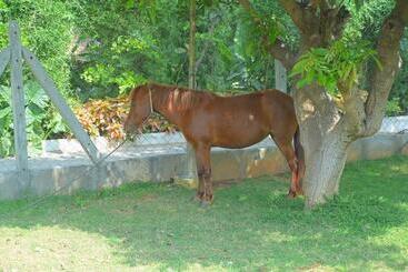 Farm Stay Resort   Shamirpet, Hyderabad