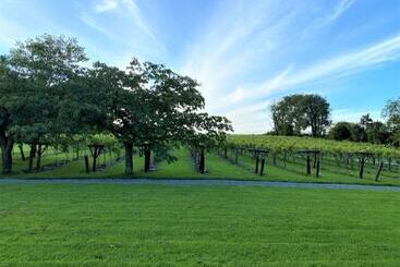 هتل Jabajak Vineyard Restaurant & Rooms