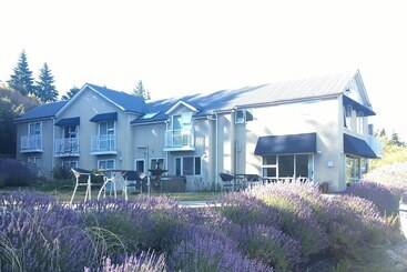 هتل Lake Wanaka Lodge