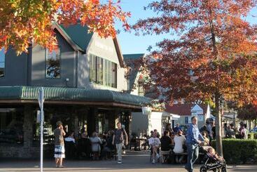 هتل Lake Wanaka Lodge
