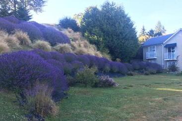 هتل Lake Wanaka Lodge